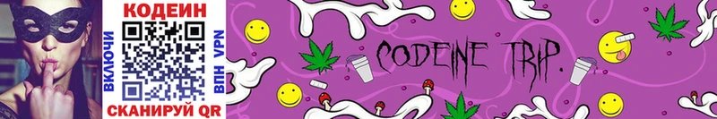 дарнет шоп  Пущино  Codein Purple Drank 