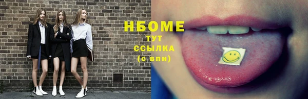 сатива Новокубанск