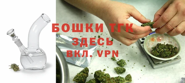 сатива Новокубанск