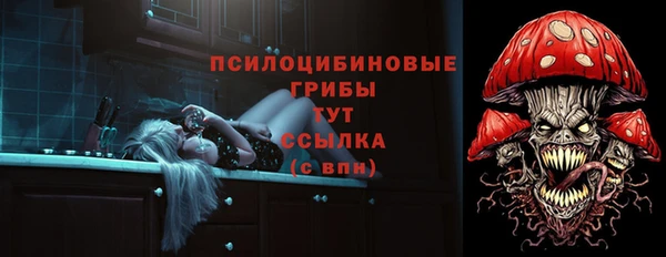 индика Новозыбков
