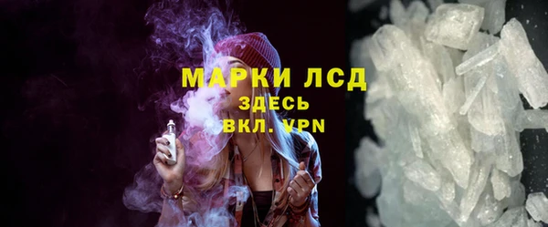 сатива Новокубанск