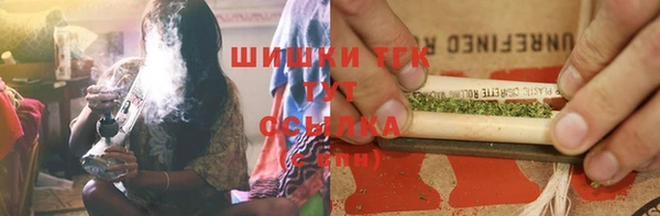 индика Новозыбков