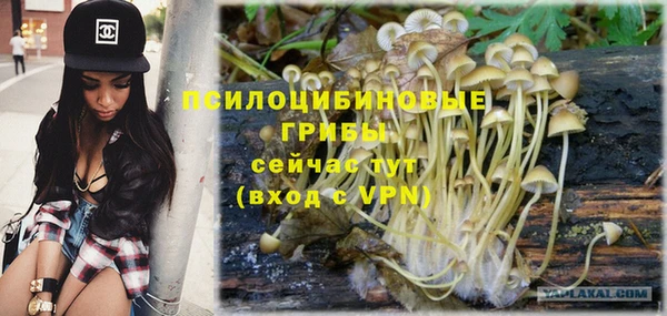 герыч Новодвинск