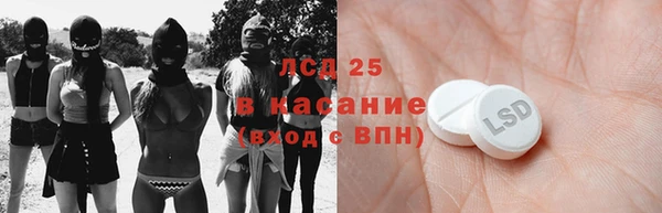индика Новозыбков