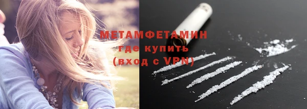 сатива Новокубанск