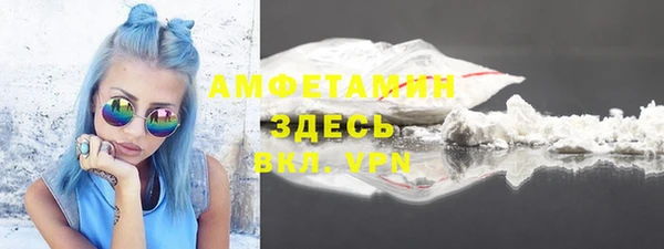 индика Новозыбков