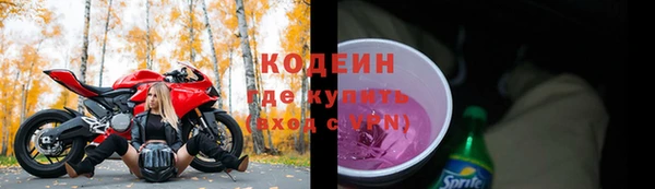 индика Новозыбков