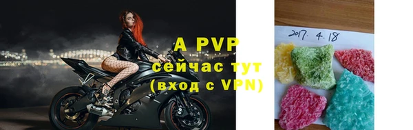 индика Новозыбков
