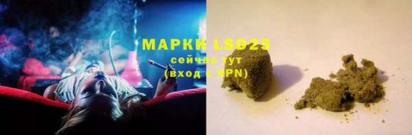 индика Новозыбков