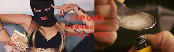 индика Новозыбков