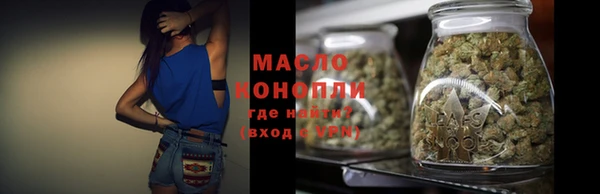 индика Новозыбков