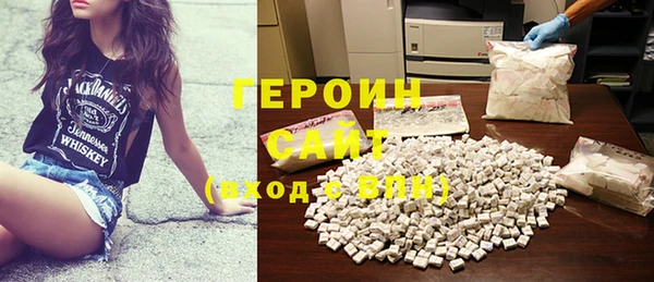 индика Новозыбков