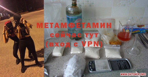 индика Новозыбков