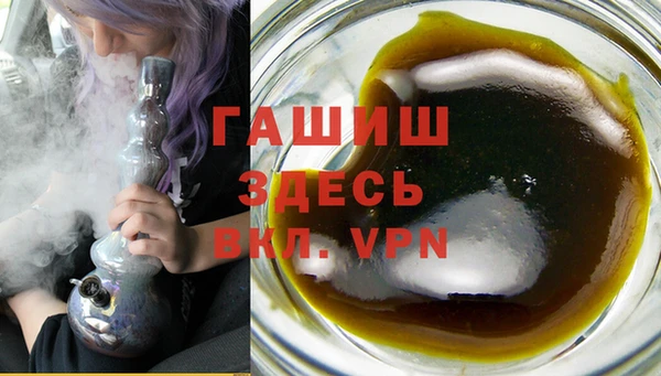 сатива Новокубанск