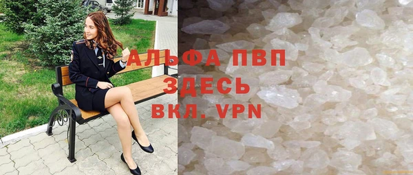 сатива Новокубанск