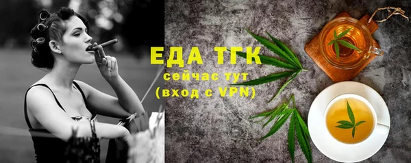 индика Новозыбков