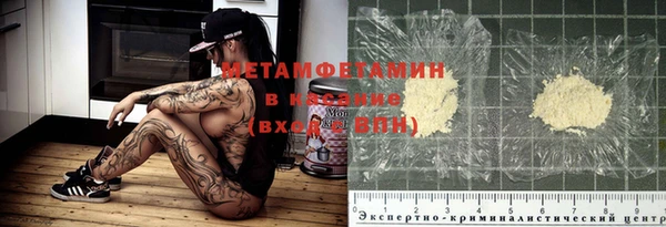 индика Новозыбков