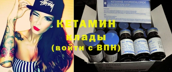 индика Новозыбков