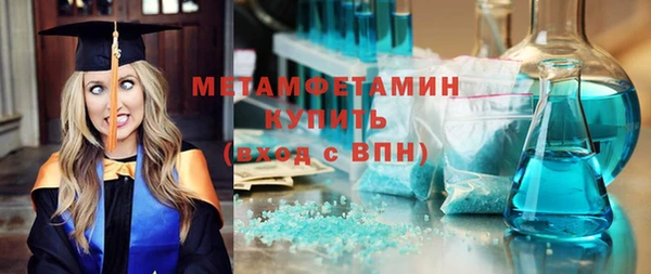 индика Новозыбков