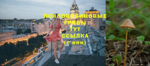 герыч Новодвинск
