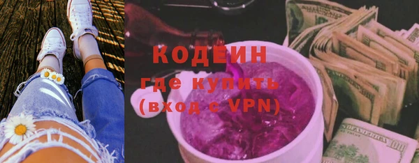 индика Новозыбков
